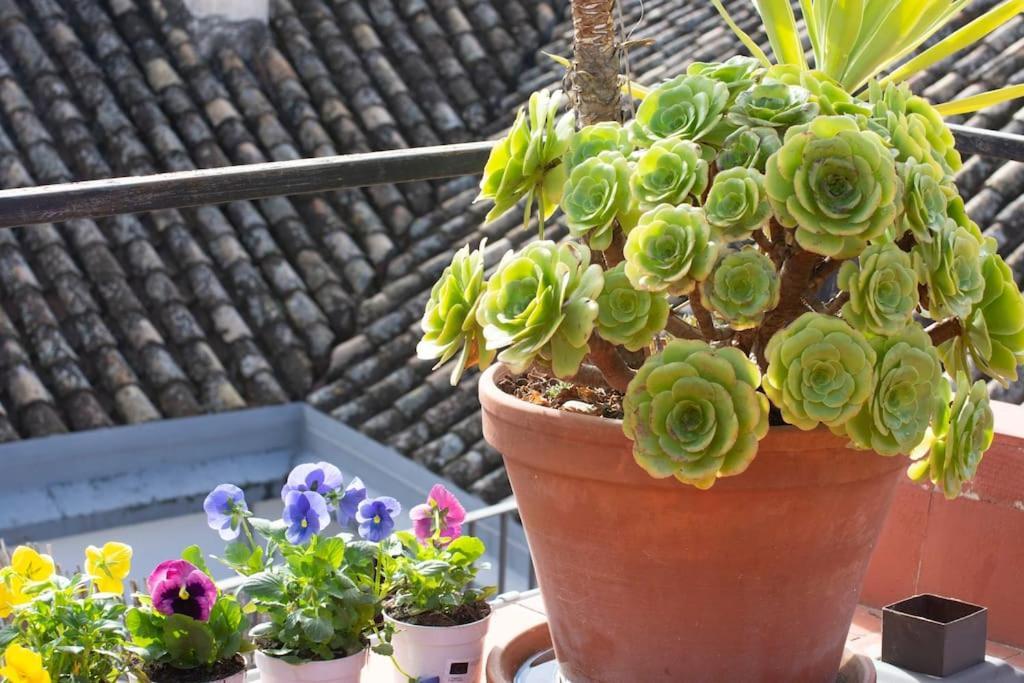 Apartamento Mirador Alhambra